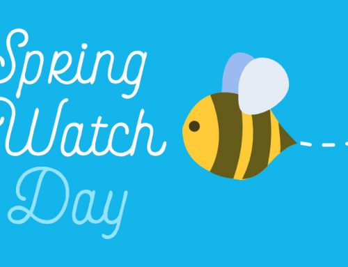 Spring Watch Day at Goytre Wharf